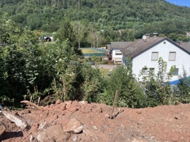 Erschlossenes Baugrundstück mit unverbaubarem Blick auf den Trifels - 1