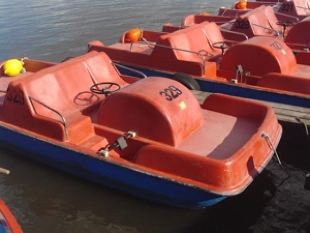 Bootsverleih Kielhorn   Steg N 21 - 3 Std. Tretboot fahren auf dem Steinhuder Meer - 1